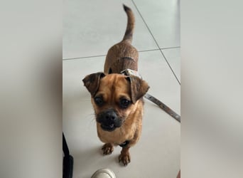 Ellie ❤️ wartet bereits in 48153 Münster auf dich!