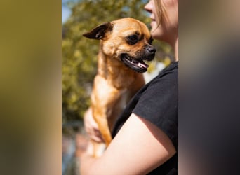 Ellie ❤️ wartet bereits in 48153 Münster auf dich!