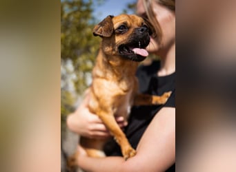 Ellie ❤️ wartet bereits in 48153 Münster auf dich!