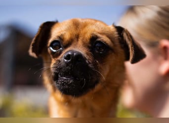Ellie ❤️ wartet bereits in 48153 Münster auf dich!