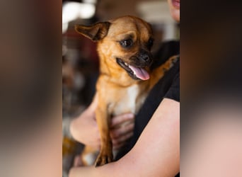 Ellie ❤️ wartet bereits in 48153 Münster auf dich!