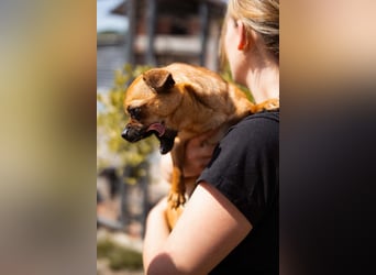 Ellie ❤️ wartet bereits in 48153 Münster auf dich!