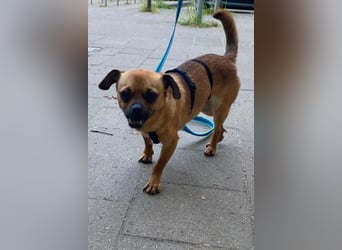 Ellie ❤️ wartet bereits in 48153 Münster auf dich!