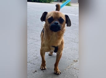 Ellie ❤️ wartet bereits in 48153 Münster auf dich!