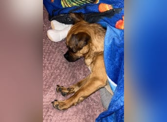 Ellie ❤️ wartet bereits in 48153 Münster auf dich!
