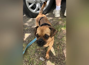 Ellie ❤️ wartet bereits in 48153 Münster auf dich!