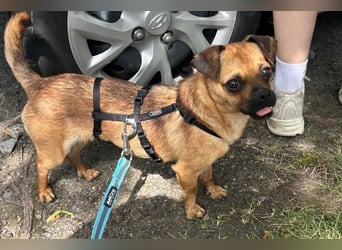 Ellie ❤️ wartet bereits in 48153 Münster auf dich!