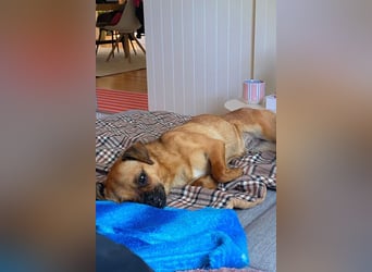 Ellie ❤️ wartet bereits in 48153 Münster auf dich!