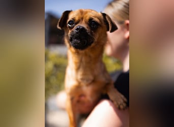 Ellie ❤️ wartet bereits in 48153 Münster auf dich!