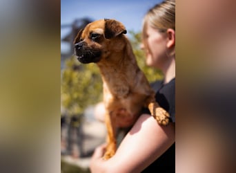 Ellie ❤️ wartet bereits in 48153 Münster auf dich!