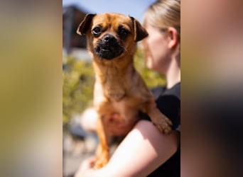 Ellie ❤️ wartet bereits in 48153 Münster auf dich!