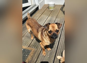 Ellie ❤️ wartet bereits in 48153 Münster auf dich!
