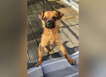 Ellie ❤️ wartet bereits in 48153 Münster auf dich!