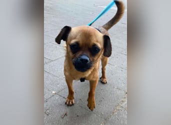 Ellie ❤️ wartet bereits in 48153 Münster auf dich!