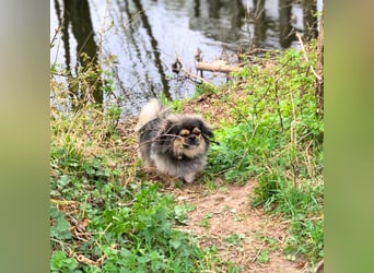 Maik - braucht Sicherheit