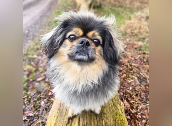 Maik - braucht Sicherheit