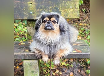 Maik - braucht Sicherheit