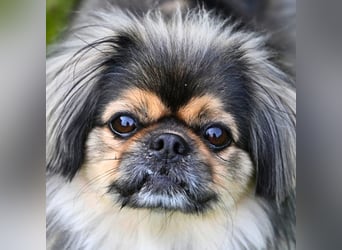 Maik - braucht Sicherheit