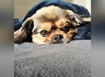 Maik - braucht Sicherheit