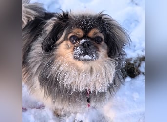 Maik - braucht Sicherheit