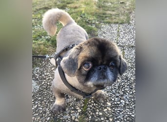 Jonny sucht ein ruhiges Plätzchen