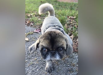 Jonny sucht ein ruhiges Plätzchen