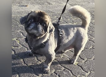 Jonny sucht ein ruhiges Plätzchen