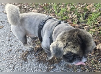 Jonny sucht ein ruhiges Plätzchen