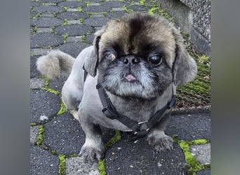 Jonny sucht ein ruhiges Plätzchen