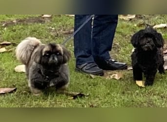 Jonny sucht ein ruhiges Plätzchen