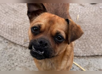 Ellie ❤️ wartet bereits in 48153 Münster auf dich!