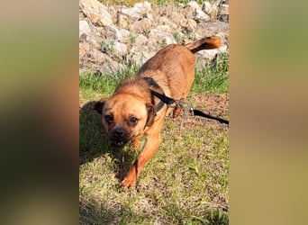 Ellie ❤️ wartet bereits in 48153 Münster auf dich!