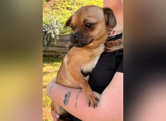 Ellie ❤️ wartet bereits in 48153 Münster auf dich!