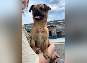 Ellie ❤️ wartet bereits in 48153 Münster auf dich!