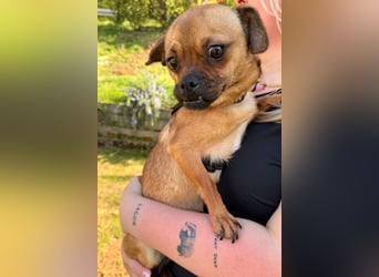 Ellie ❤️ wartet bereits in 48153 Münster auf dich!