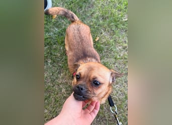 Ellie ❤️ wartet bereits in 48153 Münster auf dich!