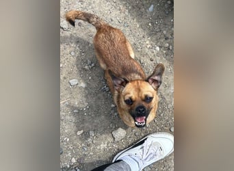 Ellie ❤️ wartet bereits in 48153 Münster auf dich!