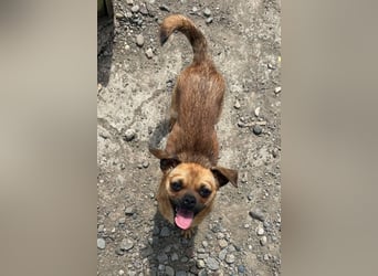 Ellie ❤️ wartet bereits in 48153 Münster auf dich!
