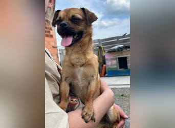Ellie ❤️ wartet bereits in 48153 Münster auf dich!