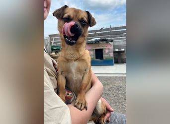 Ellie ❤️ wartet bereits in 48153 Münster auf dich!