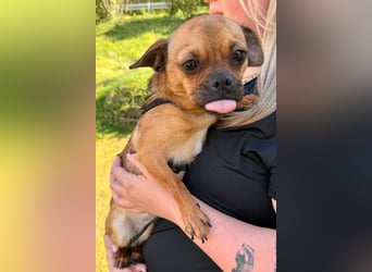 Ellie ❤️ wartet bereits in 48153 Münster auf dich!