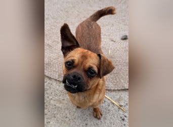Ellie ❤️ wartet bereits in 48153 Münster auf dich!
