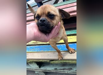 Ellie ❤️ wartet bereits in 48153 Münster auf dich!