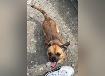Ellie ❤️ wartet bereits in 48153 Münster auf dich!