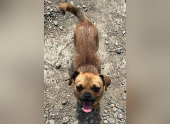 Ellie ❤️ wartet bereits in 48153 Münster auf dich!