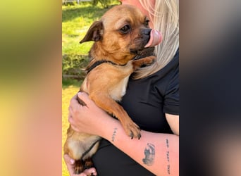 Ellie ❤️ wartet bereits in 48153 Münster auf dich!