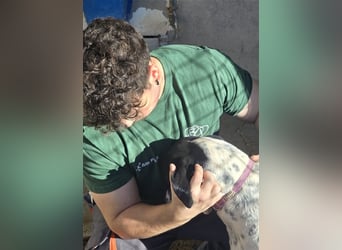 Bruno – für jeden Spaß zu haben