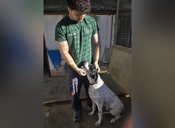 Bruno – für jeden Spaß zu haben