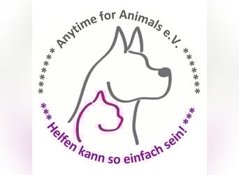 Pflegestellen gesucht