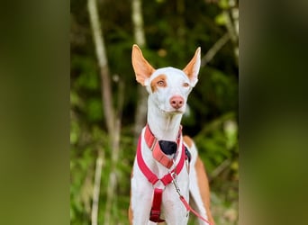 ❤️ CASPER ❤️